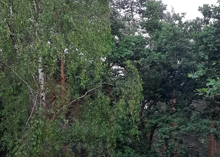 2 W Koronie Drzew Nad Zalewem Apartament *