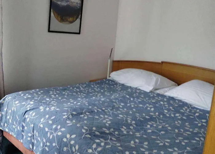 2 W Koronie Drzew Nad Zalewem *