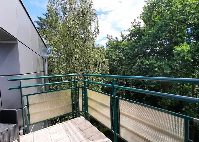 2 W Koronie Drzew Nad Zalewem *