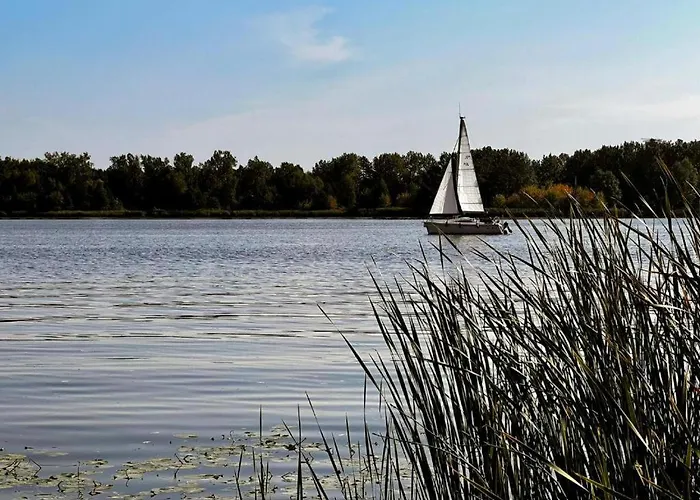 2 W Koronie Drzew Nad Zalewem Serock